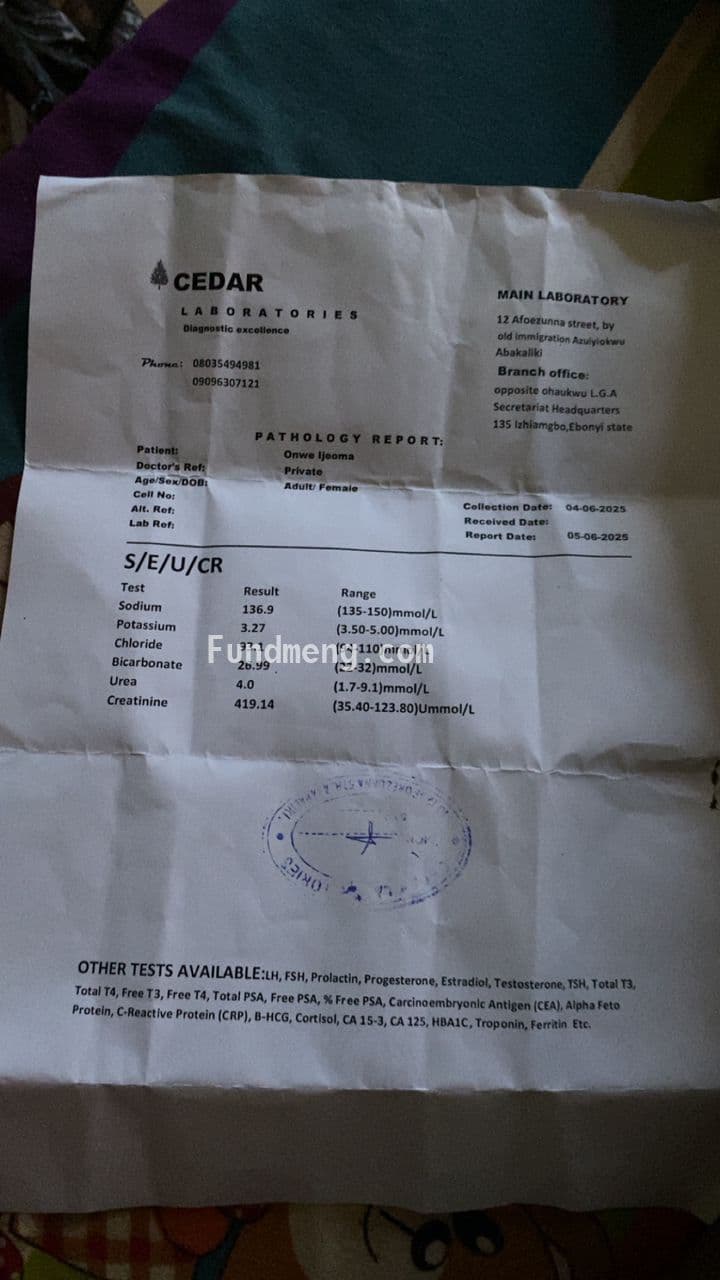 Help Mrs. Ijeoma Onwe survive end-stage kidney failure!